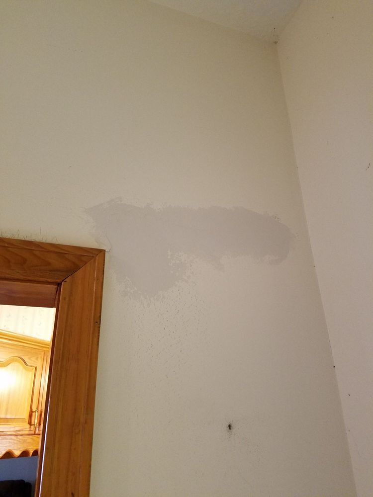 Slide of Roland's Painting & Construction