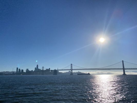 City Cruises by null