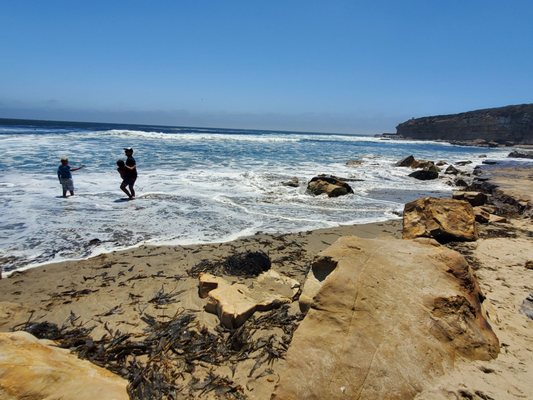 Four Mile Beach by null