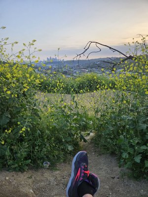 Ernest E. Debs Regional Park by null