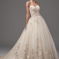 Vesa Brides