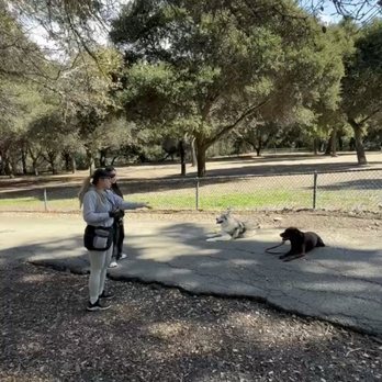 Disciplined K9 - Pet Training Near Me Disciplined K9 - Pet Training Near Me