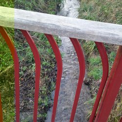 Parc des Aulnes