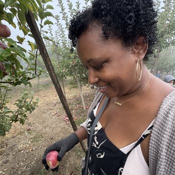Rileys At Los Rios Rancho - Spartan and Granny Smith apples available for today on a Friday - Fruits & Veggies Near Me - Oak Glen, California
