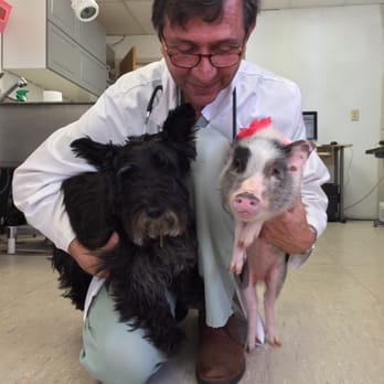 Holmdel Veterinary Clinic - Dr. Sturla with his dog Kelly and our lovely Cinnamon Sugar! - Veterinarians Near Me - Holmdel, New Jersey Holmdel Veterinary Clinic - Dr. Sturla with his dog Kelly and our lovely Cinnamon Sugar! - Veterinarians Near Me - Holmdel, New Jersey