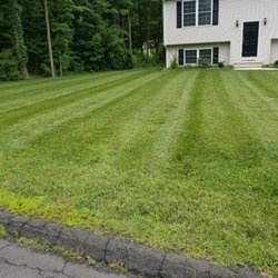 The Lawn Master