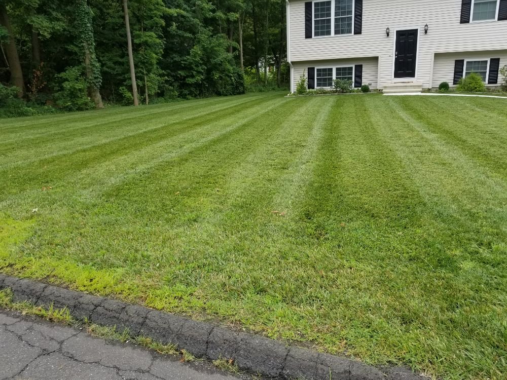 THE LAWN MASTER Updated August 2024 90 Woodhouse Ave, Wallingford, Connecticut Landscaping