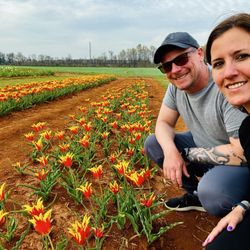 Hubert Family Farms - Tulip season - March 28, 2025