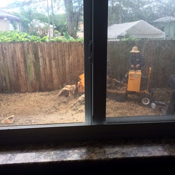 Jireh Tree Care - Tree Services Near Me