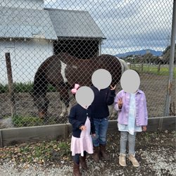 Forest Home Farms - Hello horse!