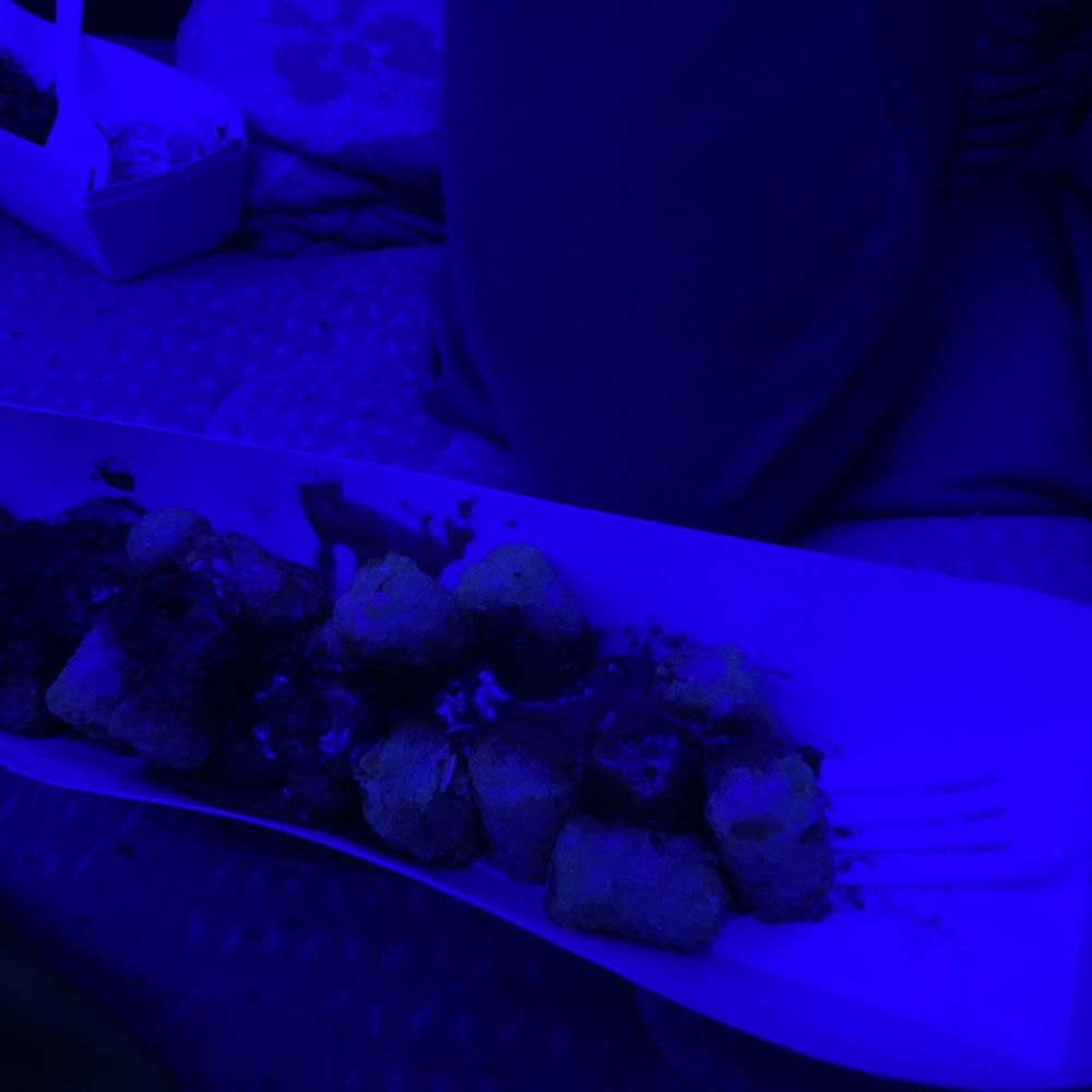 Sonic Drive-In - Chili cheese tots and I ate like three tots with nothing on them - Burgers Near Me - Paragould, Arkansas Sonic Drive-In - Chili cheese tots and I ate like three tots with nothing on them - Burgers Near Me - Paragould, Arkansas