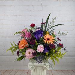 Blooms