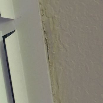 Stanley Steemer - Carpet Cleaning Near Me - Windcrest, Texas