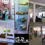 Photo of DreiTeiler