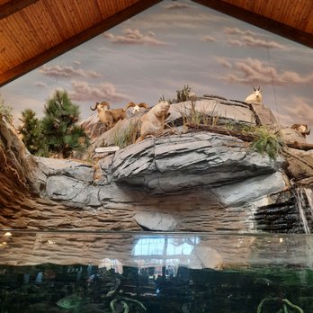 Cabela's - Guns & Ammo Near Me - Fort Mill, South Carolina Cabela's - Guns & Ammo Near Me - Fort Mill, South Carolina