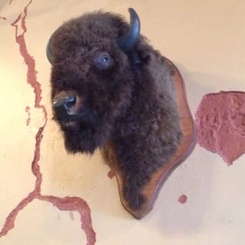 Harmon's Barbecue - The buffalo staking his territory. - Barbeque Near Me - Cibolo, Texas