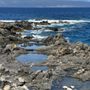Photo of Kapalua Coastal Trail