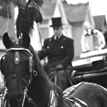 The Light Studios - Serene Images for Funeral Photography and Videos - Photographers Near Me - London, XGL The Light Studios - Serene Images for Funeral Photography and Videos - Photographers Near Me - London, XGL
