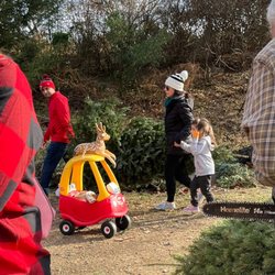 Frog Hollow Evergreens - Loved this family 2021