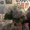 Domenic Graziano Flowers & Gifts gift card