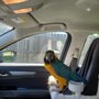 Photo of T's Exotics Avian Luxury Suites