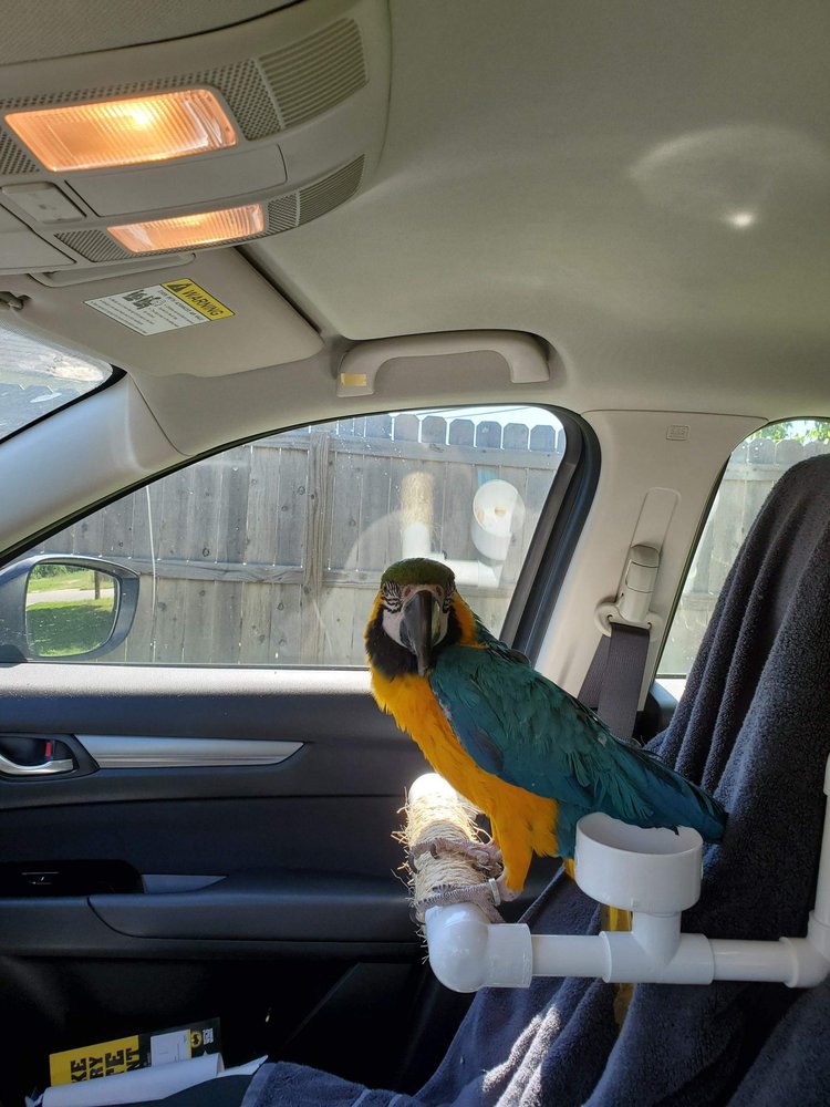 T's Exotics Avian Luxury Suites Image