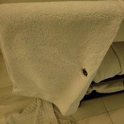 Hotel Samm - Holes in Towels. Unbelievable.