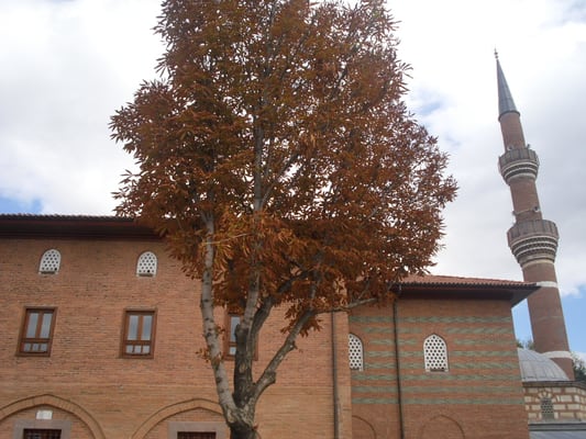 Haci Bayram Mosque by null