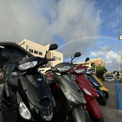 Apex Mopeds - Honolulu - Pronto mopeds
