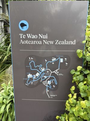 Auckland Zoo by null