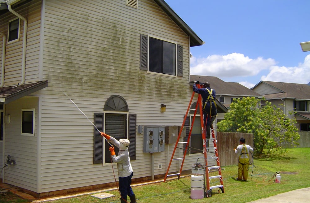 SPARKLE WASH NORTHWEST Updated June 2024 26 Photos 10017 229th