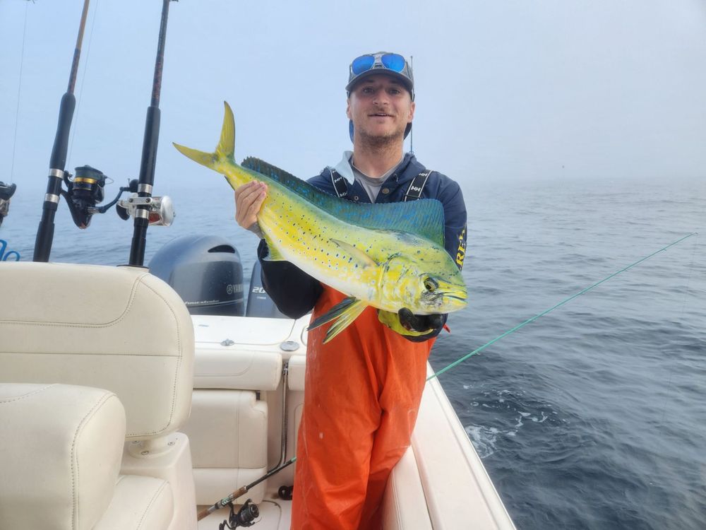 In The Netsportfishing - Cape Cod Logo