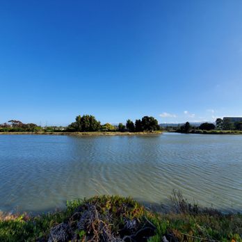 Robert E Wooley Peninsula Park - Lake - Parks Near Me - Burlingame, California