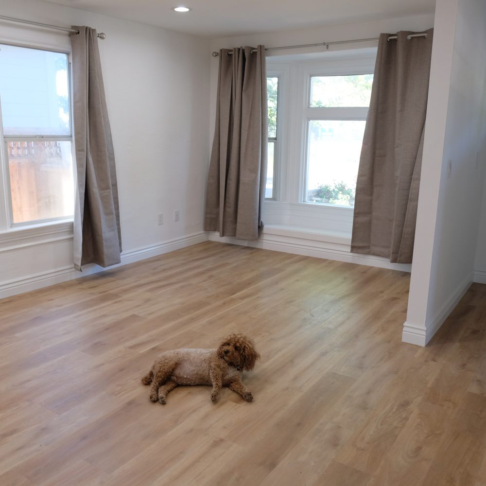 Tony Tran Construction - Open living area. Pup approved. - General Contractors Near Me Tony Tran Construction - Open living area. Pup approved. - General Contractors Near Me