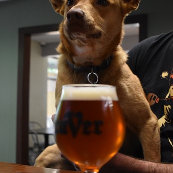 CUVER Belgian Brewers - Dog Friendly Brewery - Breweries Near Me - Windsor, California