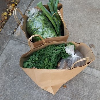 Libertad Urban Garden - Vegan bag - Community Gardens Near Me - Bronx, New York Libertad Urban Garden - Vegan bag - Community Gardens Near Me - Bronx, New York