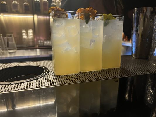 Jade & Clover by null