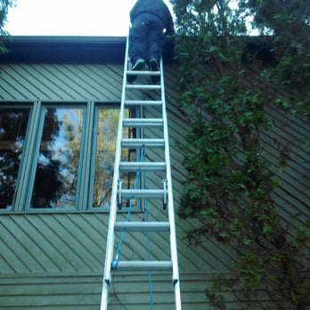 Pino Handy Service - a man on a ladder - Landscaping Near Me - Waterbury, Connecticut Pino Handy Service - a man on a ladder - Landscaping Near Me - Waterbury, Connecticut