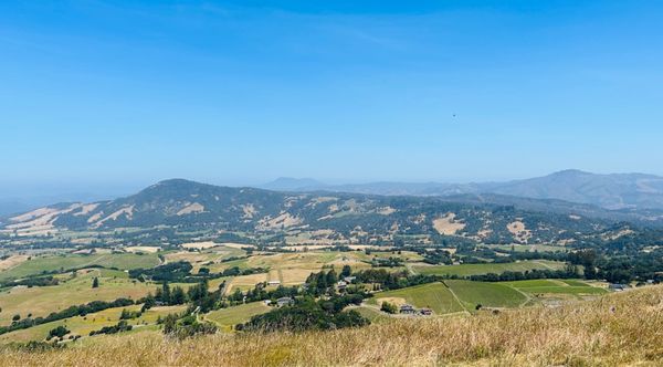 North Sonoma Mountain Regional Park by null