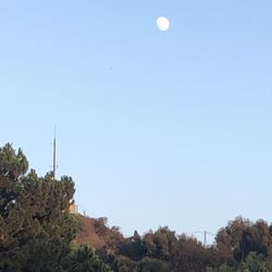 Culver City Park