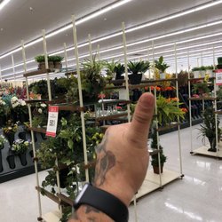 Hobby Lobby - Bunch of trees