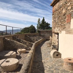 Olive Oil Tour