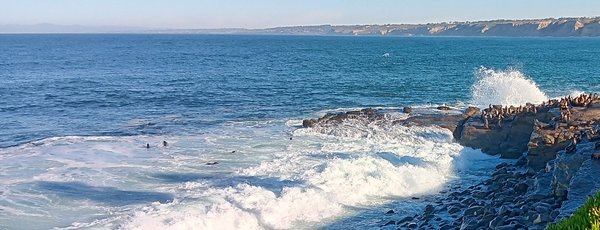 Children's Pool La Jolla by null