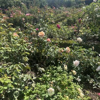 Filoli - Botanical Gardens Near Me - Woodside, California