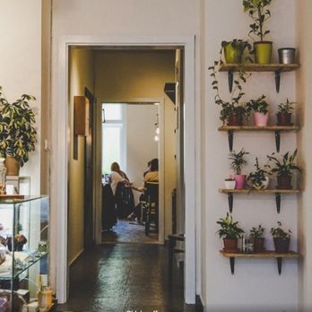 Oblak Coffee - Cafes Near Me - Prague, Puerto Rico