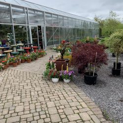 Murray Bros Nurseries & Garden Centre