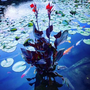 Sunken Gardens - Botanical Gardens Near Me - Lincoln, Nebraska