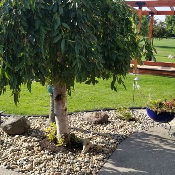 Joe's Yard Service - Tree Services Near Me - Yakima, Washington