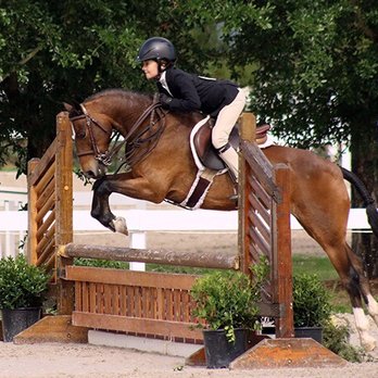 Glendaloch Farm - Horseback Riding Near Me - Austin, Texas