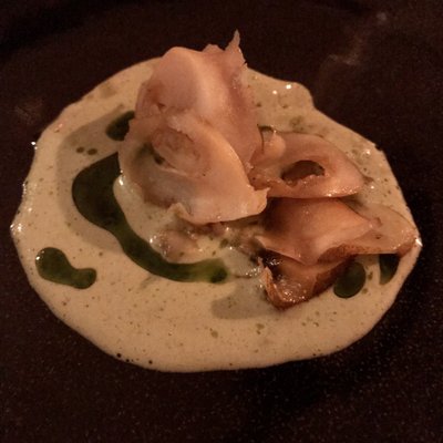 Honey Badger by null Honey Badger by null